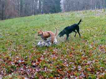 groupe