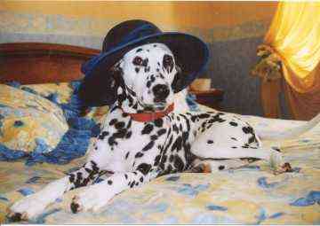 pepita1