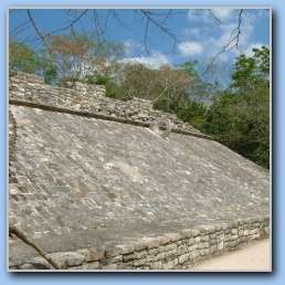 [Click to enlarge image]