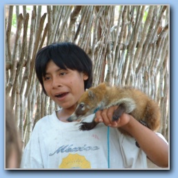 [Click to enlarge image]